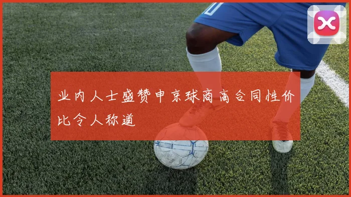 业内人士盛赞申京球商高合同性价比令人称道